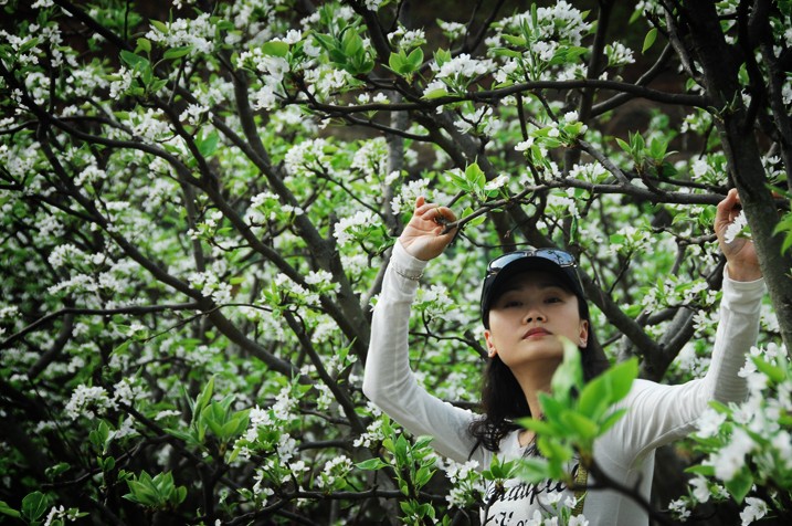 20120328115017.jpg