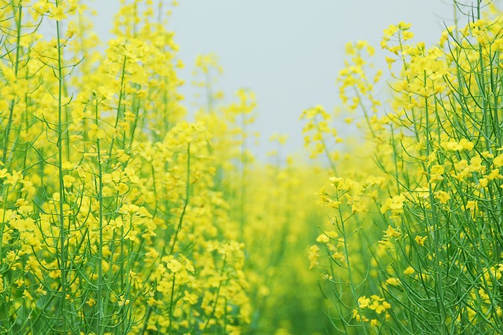 20120328135723.jpg