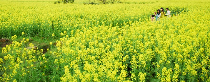 20120328140905.jpg