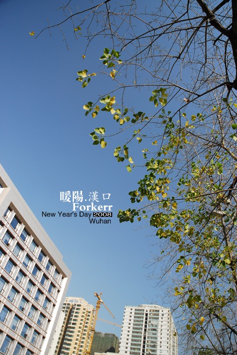 20120328145737.jpg