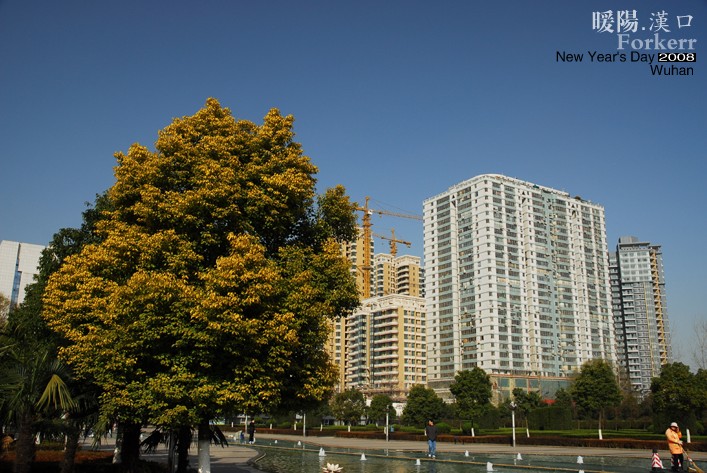 20120328150005.jpg