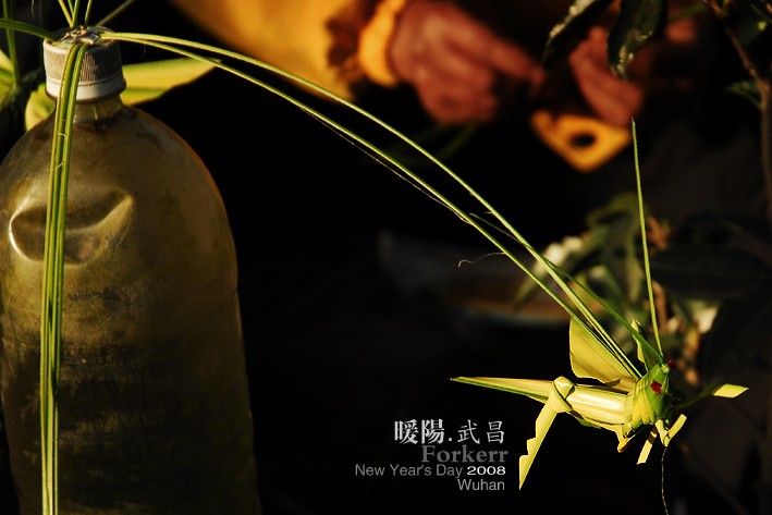 20120328152709.jpg