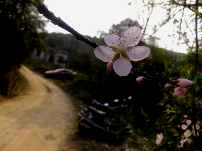 DSCF0263_����.jpg