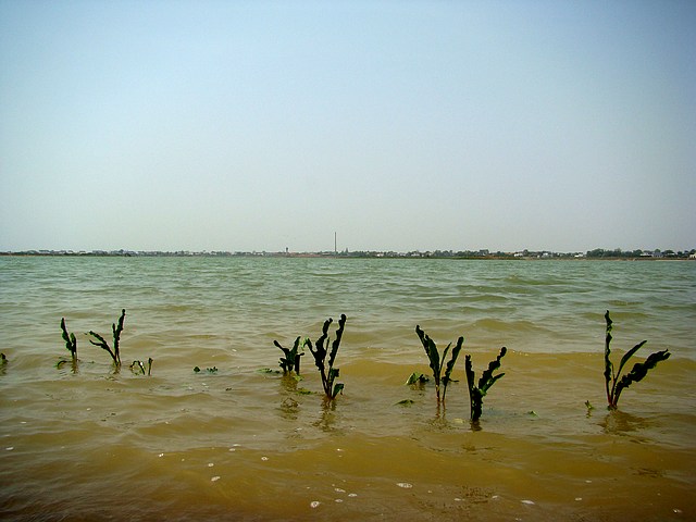 DSC04370fu.jpg