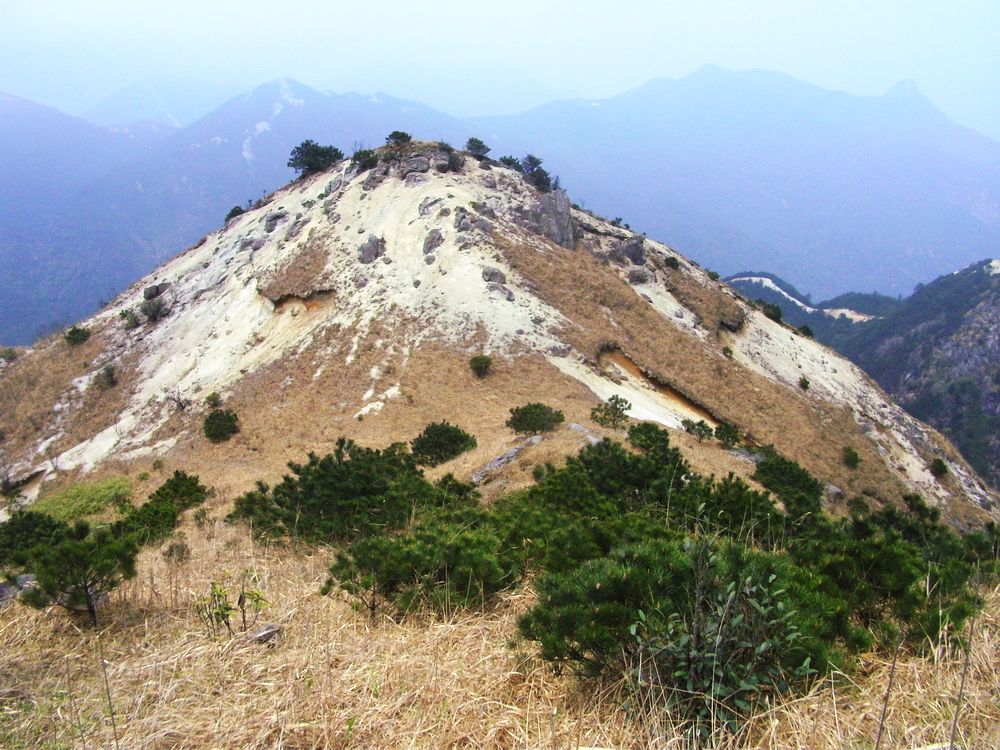 SANY7231.jpg