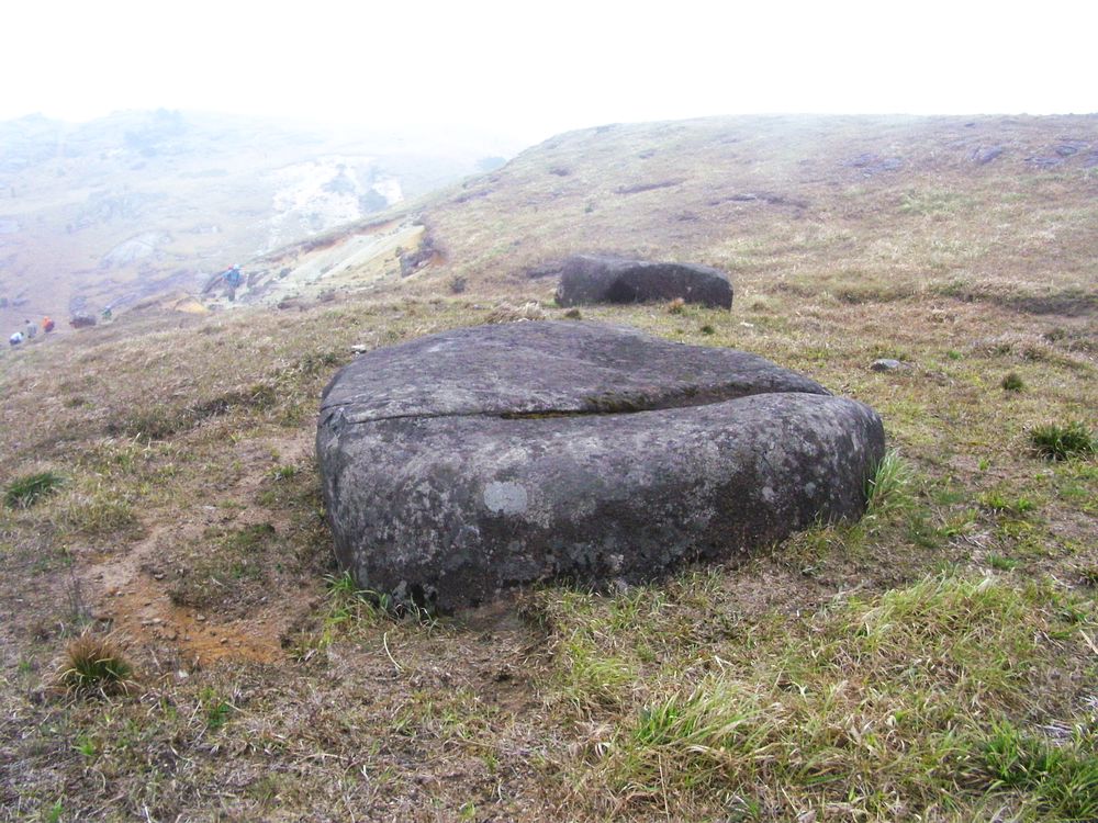 SANY7310.jpg