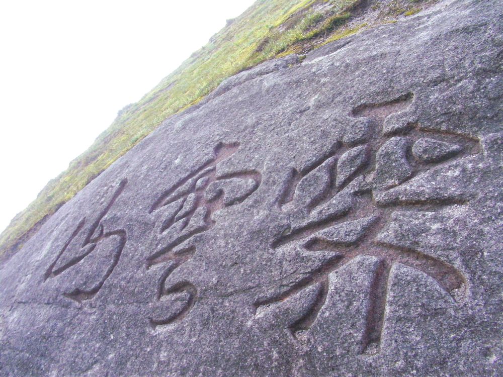 SANY7434.jpg