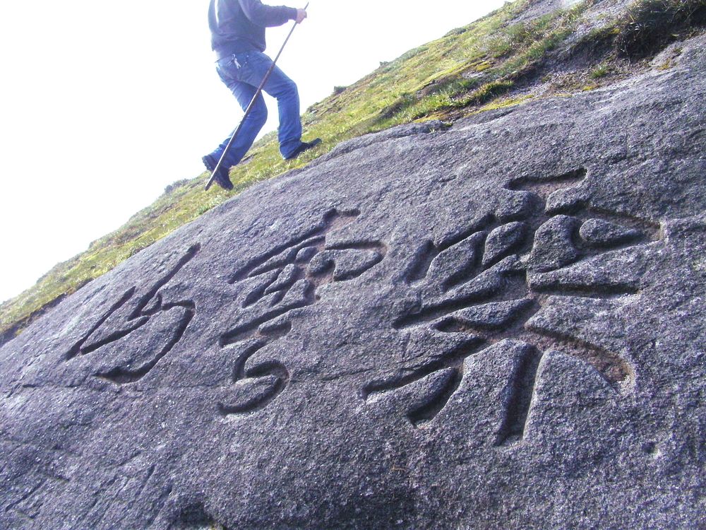 SANY7451.jpg