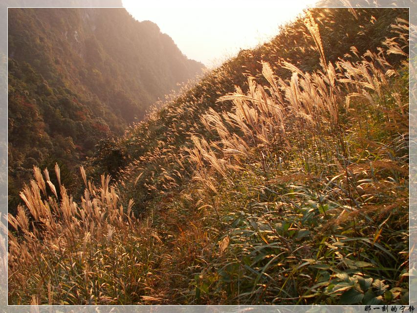 PICT0062.jpg