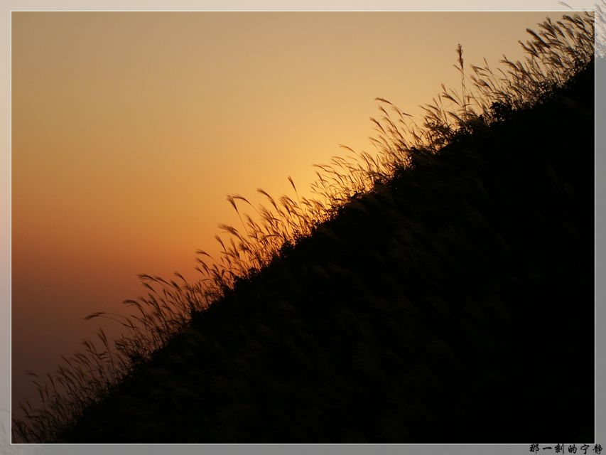 PICT0065.jpg