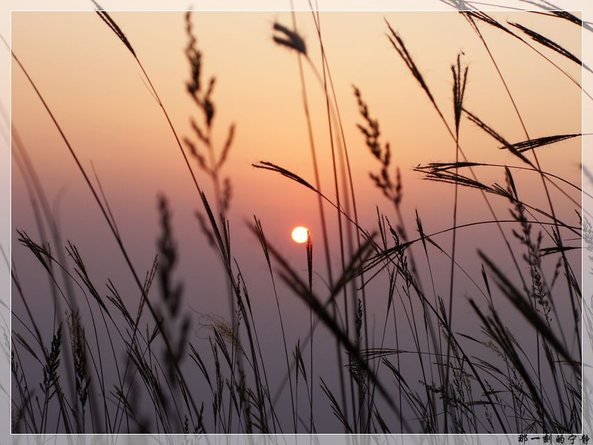 PICT0069.jpg