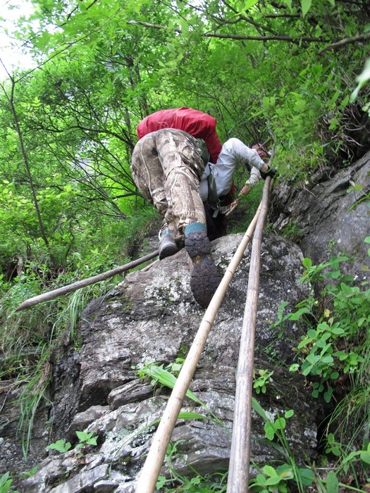 IMG_1867_nEO_IMG.jpg