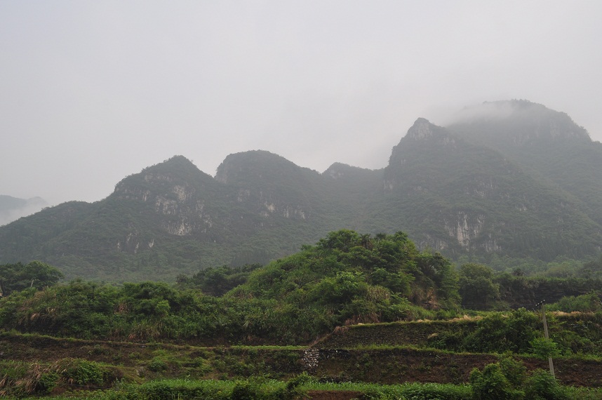 DSC_0024.JPG
