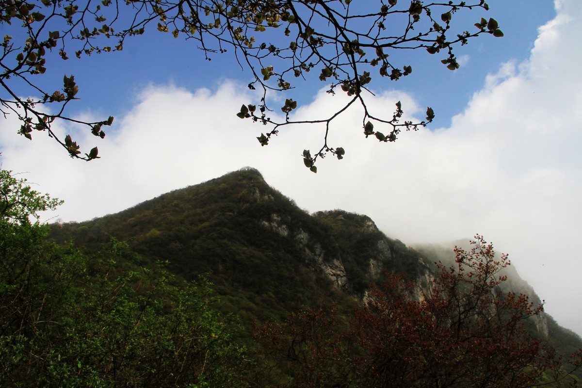 IMG_6213.jpg