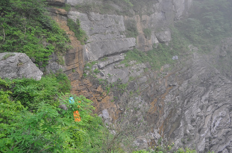 DSC_0065.JPG