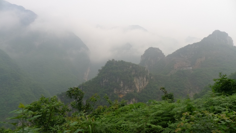 P1000613.jpg
