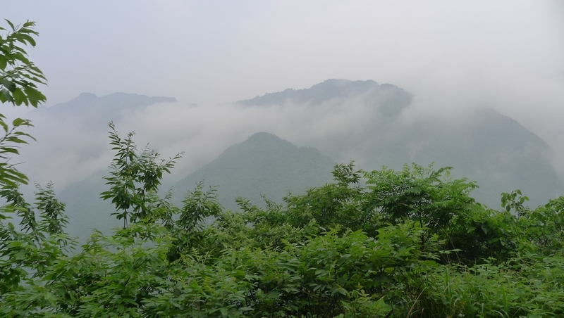 P1000614.jpg