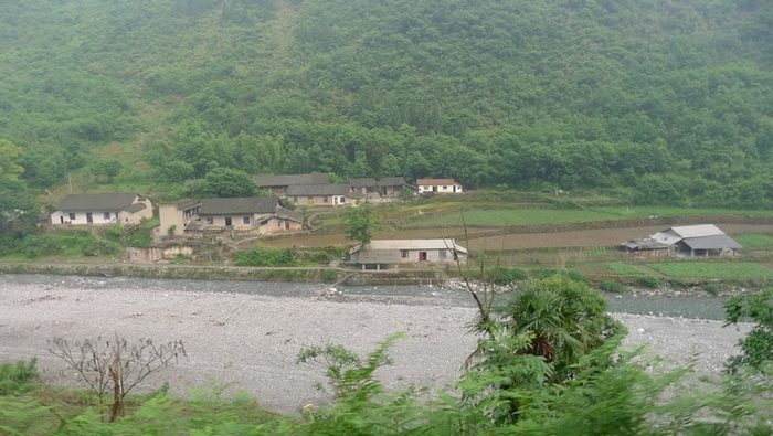 P1000619.jpg