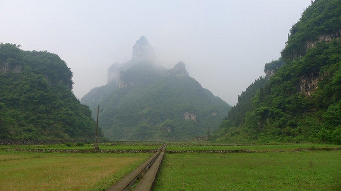 P1000634.jpg