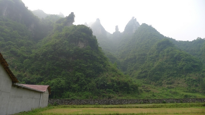 P1000637.jpg