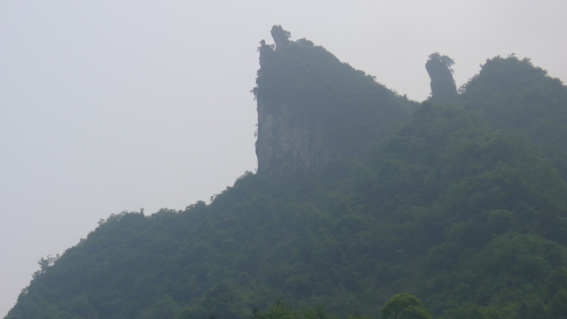 P1000660.jpg