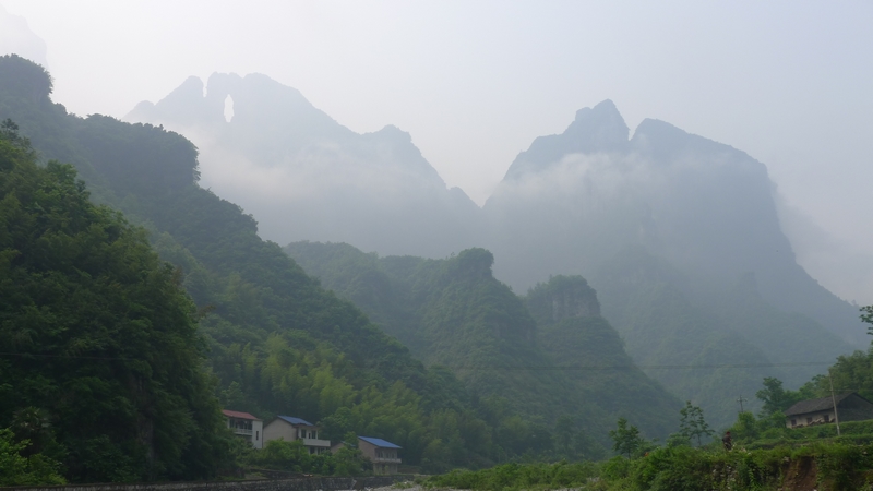 P1000658.jpg
