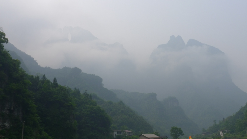 P1000657.jpg