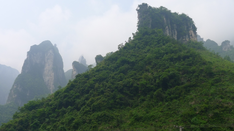 P1000676.jpg