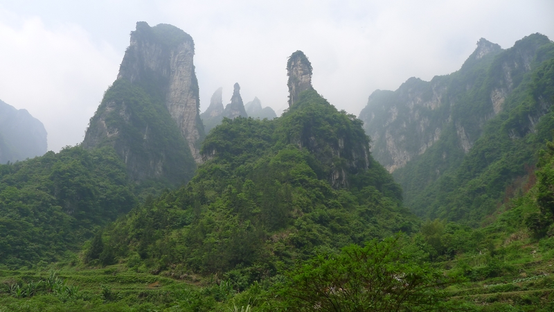 P1000680.jpg