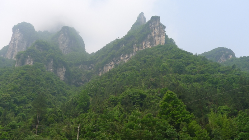 P1000668.jpg