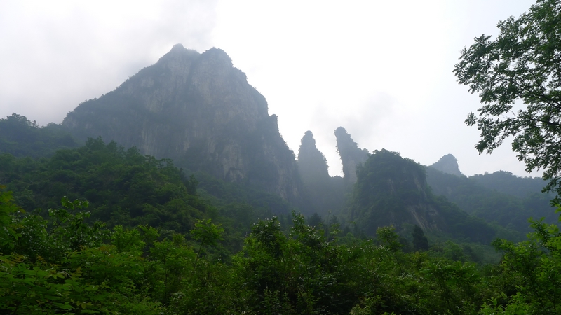 P1000675.jpg