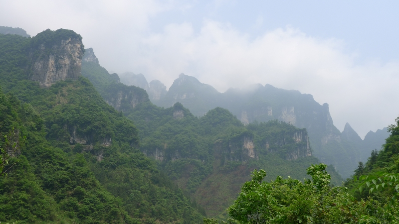 P1000700.jpg