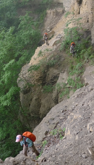 P1000742.jpg