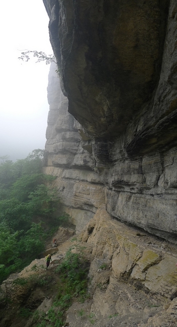P1000735.jpg