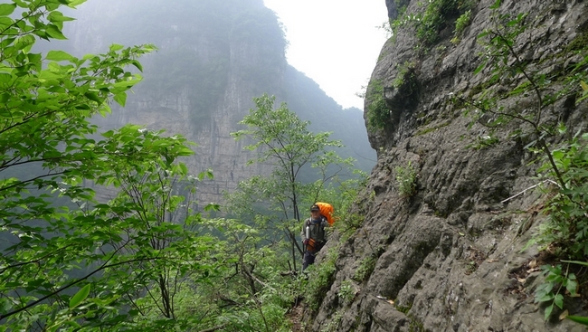 P1000766.jpg
