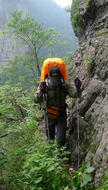 P1000768.jpg