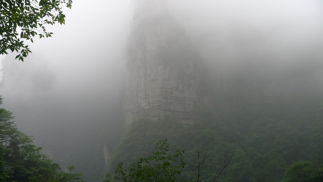 P1000757.jpg