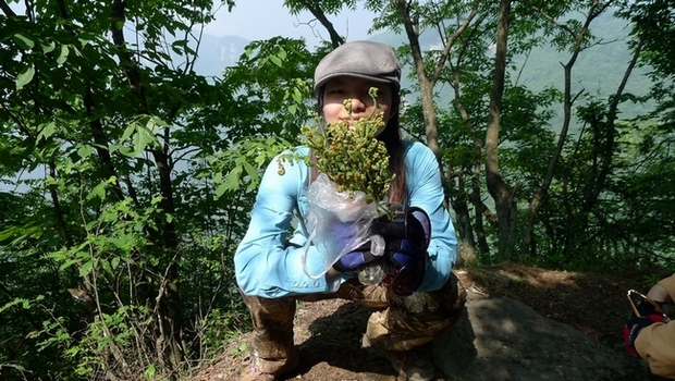 P1000780.jpg