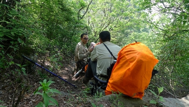 P1000782.jpg