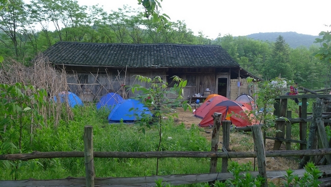 P1000771.jpg