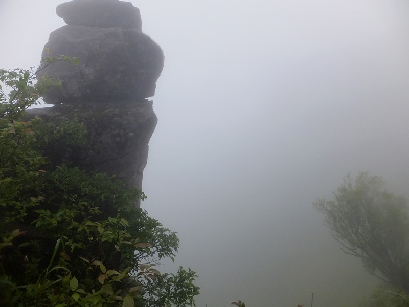 dscf3897_����.jpg