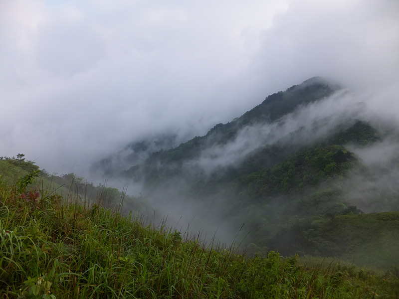 dscf3991_����.jpg