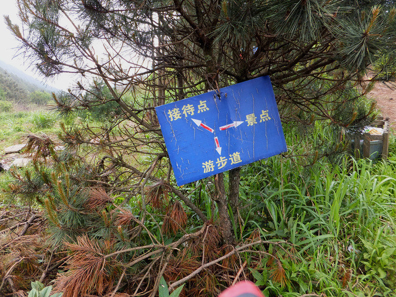dscf4228_����.jpg