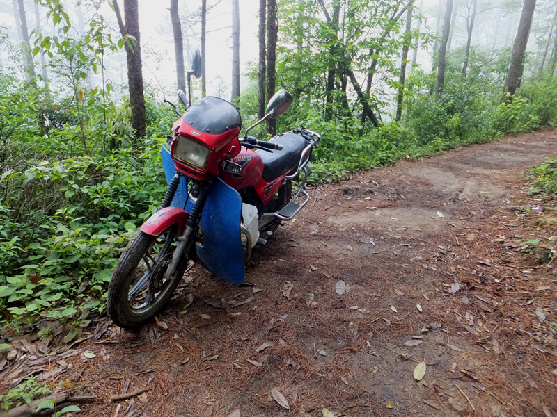 dscf4257_����.jpg