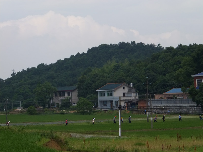 dscf4612_����.jpg