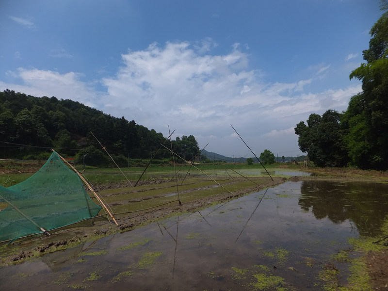 dscf4613_����.jpg