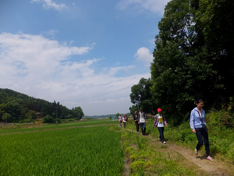 dscf4617_����.jpg