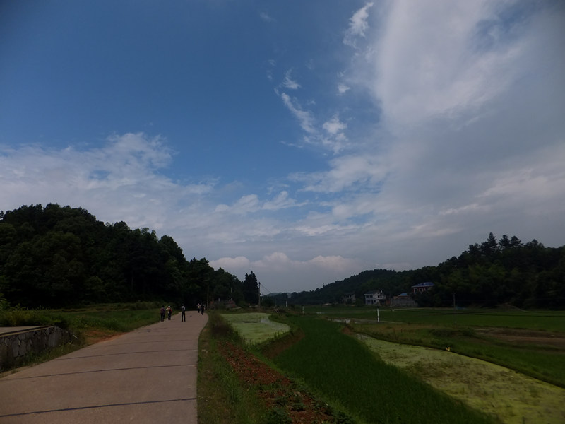 dscf4607_����.jpg