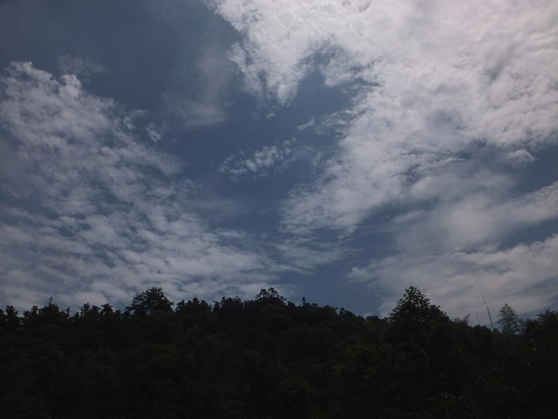 dscf4623_����.jpg