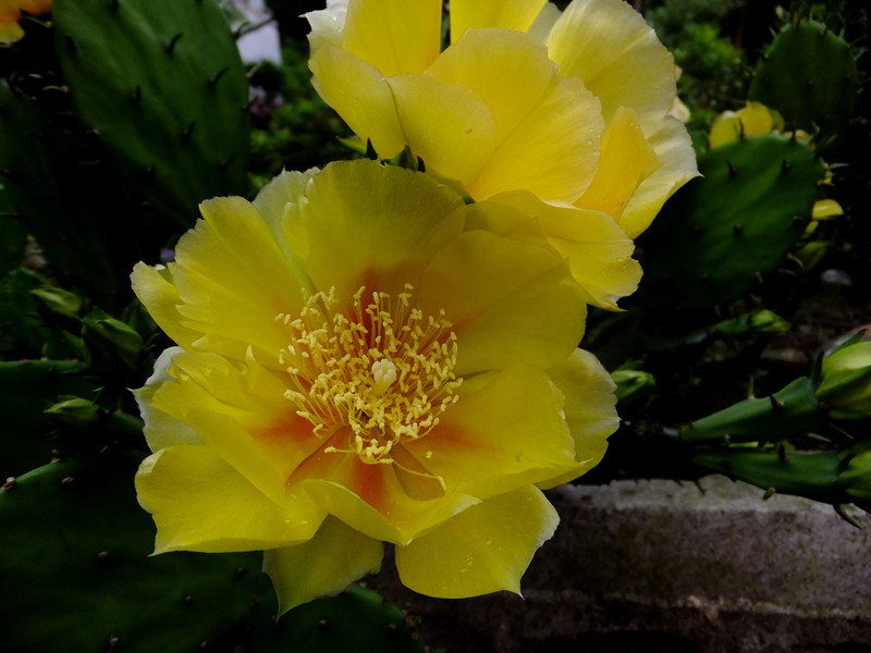 dscf4670_����.jpg